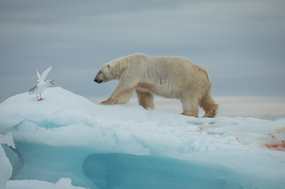 Svalbard 2018