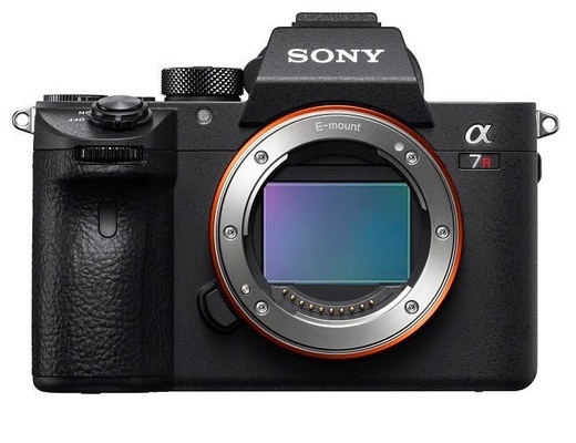 Sony A7RIII + FE 200-600 mm f/5,6,-6,3 G OSS